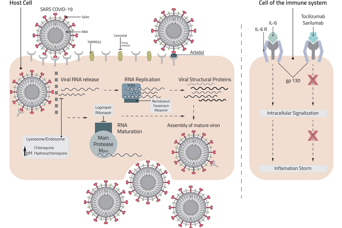 chloroquine mechanism of action